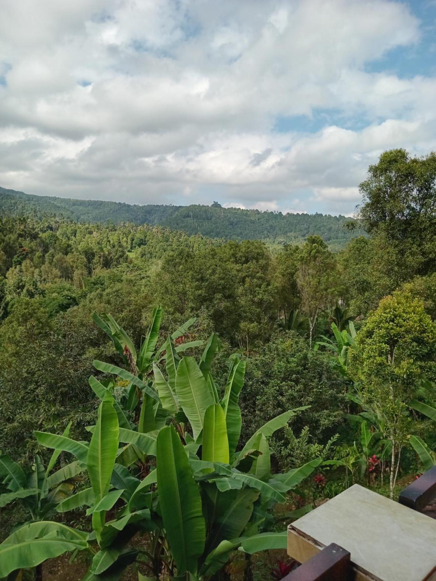 Kanaya Homestay & Warung Heaven Munduk Exterior foto